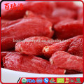 Max Out goji berries bulk wholesale First Cutting goji berries buy online goji berries bush or tree Without any additives